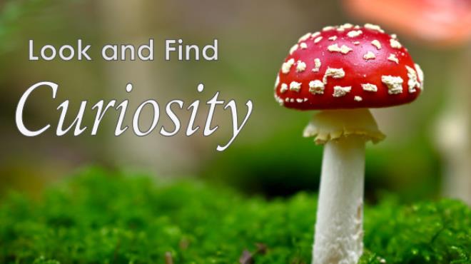 Look and Find - Curiosity Free Download