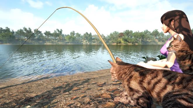 Fishing for cats Torrent Download